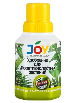 Декоративнолистные растения 0,25 л [JOY]