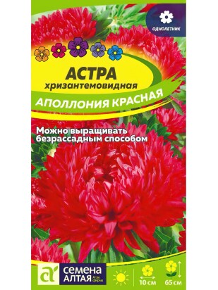 Астра Аполлония Красная [Семена алтая]