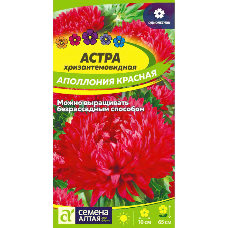 Астра Аполлония Красная (Семена алтая) можно купить недорого с доставкой в питомнике Любвитский