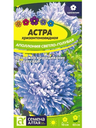 Астра Аполлония Светло-голубая [Семена алтая]