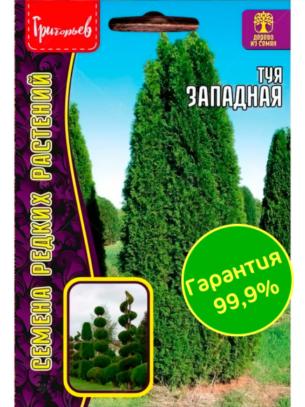 Туя Западная [Семена редких растений] купить с доставкой