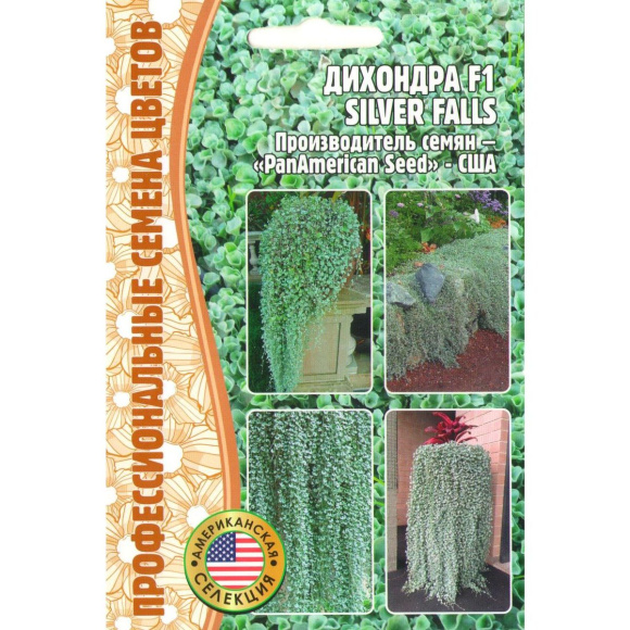 Дихондра Silver Falls [Семена редких растений] купить с доставкой