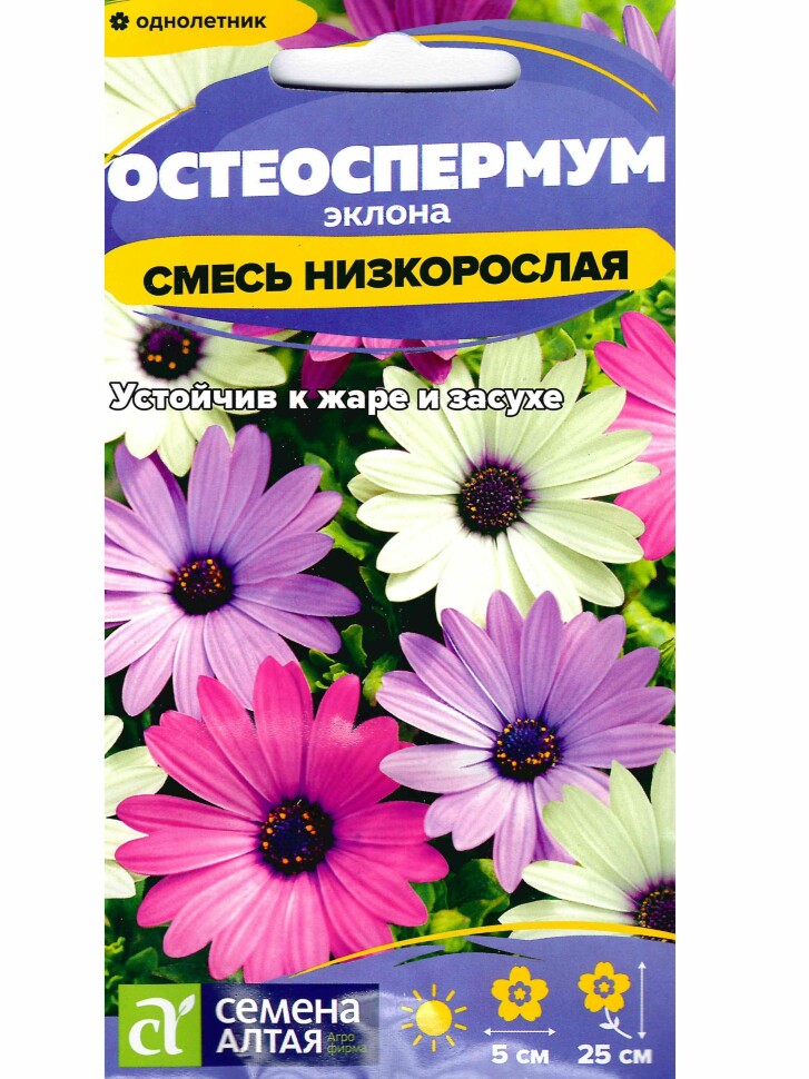 Остеоспермум Смесь низкорослая [Семена алтая] купить с доставкой