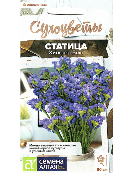 Статица Хипстер Блю [Семена алтая] купить с доставкой
