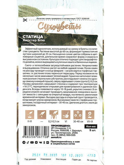 Статица Хипстер Блю [Семена алтая] купить с доставкой