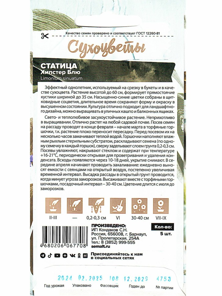 Статица Хипстер Блю [Семена алтая] купить с доставкой