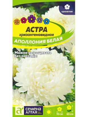Астра Аполлония Белая [Семена алтая]