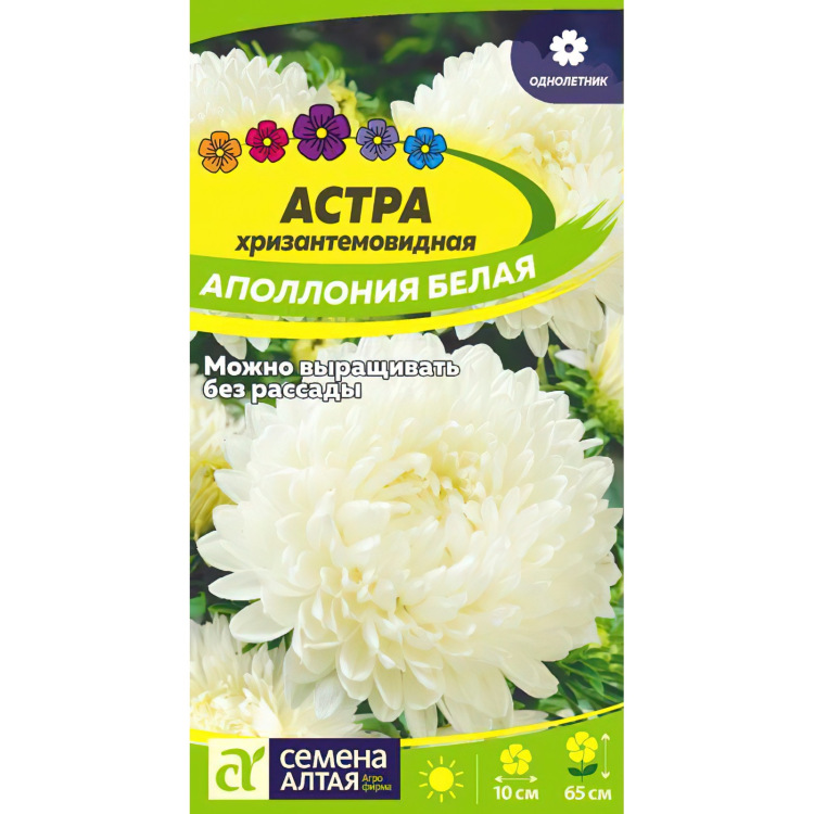Астра Аполлония Белая (Семена алтая) можно купить недорого с доставкой в питомнике Любвитский