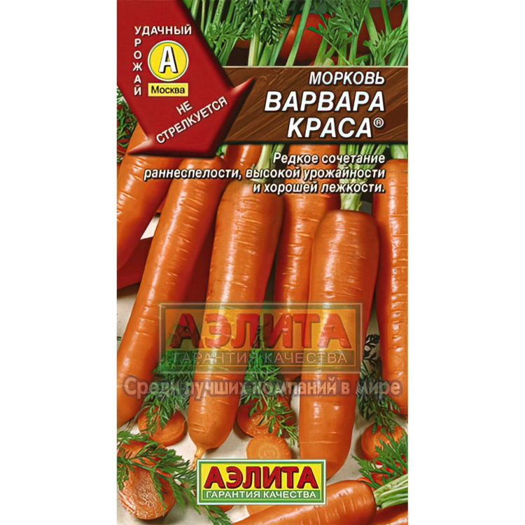 Морковь Варвара Краса (Семена алтая) можно купить недорого с доставкой в питомнике Любвитский