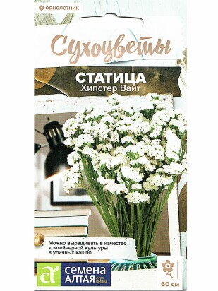 Статица Хипстер Вайт [Семена алтая]