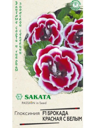 Глоксиния Брокада Красная с Белым [Гавриш]