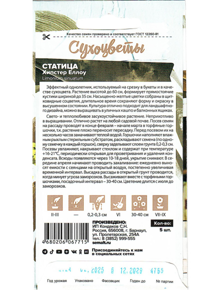 Статица Хипстер Еллоу [Семена алтая] купить с доставкой