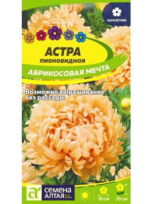 Астра Абрикосовая Мечта [Семена алтая]