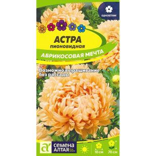 Астра Абрикосовая Мечта [Семена алтая]