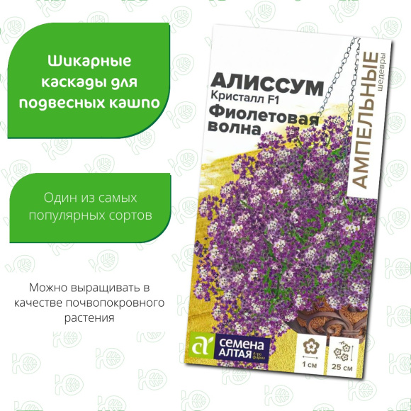 Алиссум Кристалл Фиолетовая Волна ампельный [Семена алтая] купить с доставкой