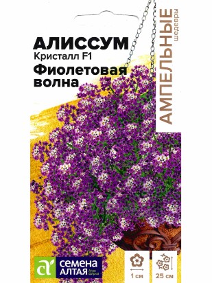 Алиссум Кристалл Фиолетовая Волна ампельный [Семена алтая]
