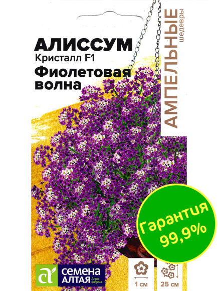 Алиссум Кристалл Фиолетовая Волна ампельный [Семена алтая] купить с доставкой