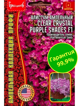 Алиссум Clear Crystal Purple Shades ампельн. [Семена редких растений]
