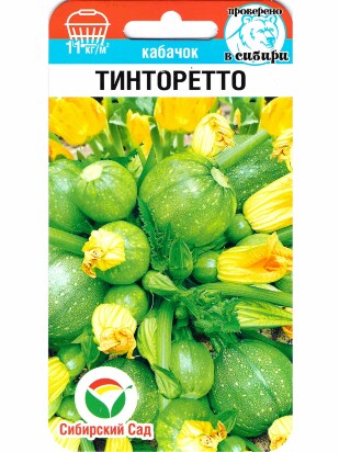 Кабачок Тинторетто [Сибирский Сад]