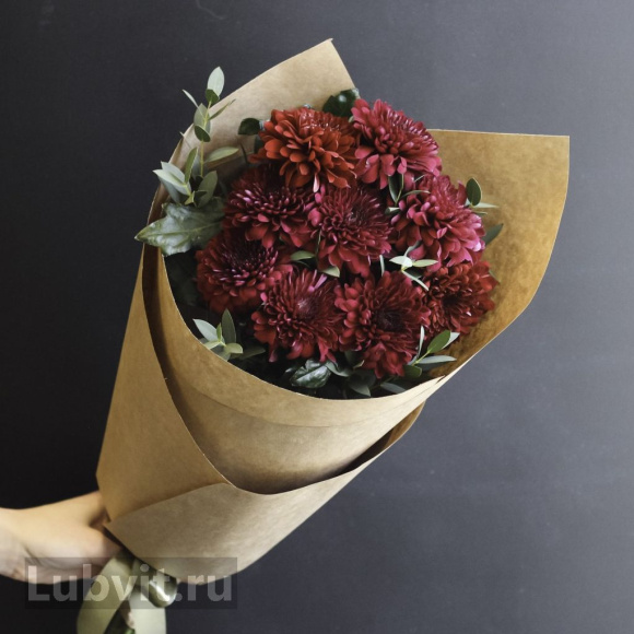 Хризантема садовая Барка (Barca) купить с доставкой Хризантема садовая Барка (Barca) купить с доставкой