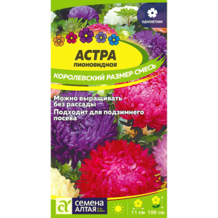 Астра Королевский размер Смесь [Семена алтая]