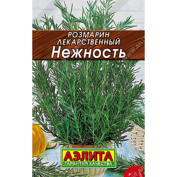 Розмарин Нежность можно купить недорого с доставкой в питомнике Любвитский