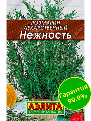 Розмарин Нежность [Аэлита]