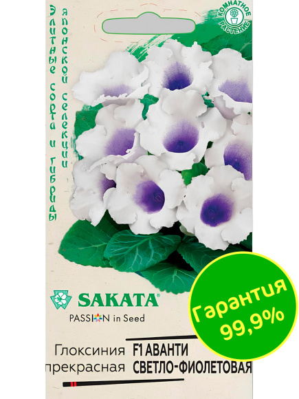 Глоксиния Аванти Светло-фиолетовая [Гавриш] купить с доставкой