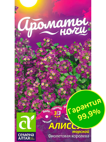 Алиссум Фиолетовая Королева [Семена алтая] купить с доставкой