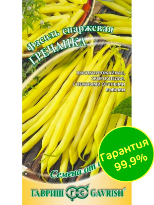 Фасоль Гречанка кустовая спаржевая [Гавриш]