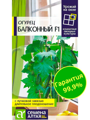 Огурец Балконный [Семена алтая]