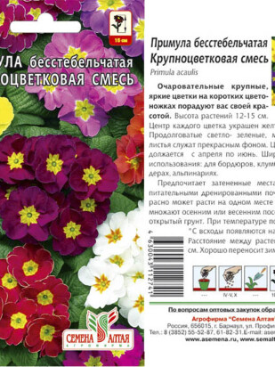 Примула Крупноцветковая смесь [Семена алтая]