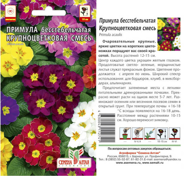 Примула Крупноцветковая смесь (Семена Алтая) можно купить недорого с доставкой в питомнике Любвитский