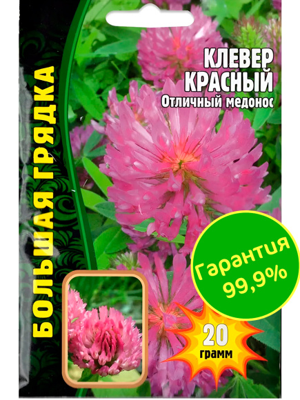Клевер Красный [Семена редких растений] купить с доставкой
