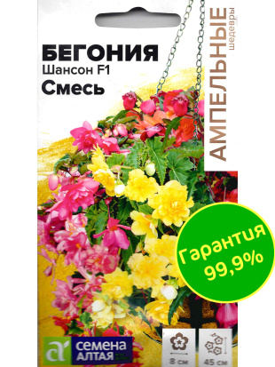 Бегония Шансон смесь клубневая [Семена алтая]