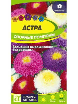 Астра Озорные Помпоны [Семена алтая]