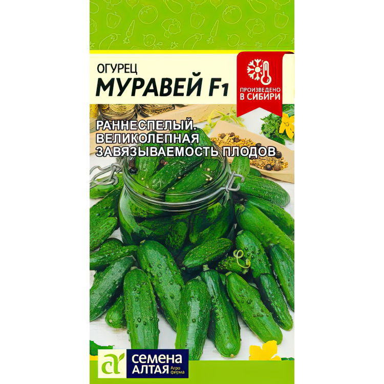 Огурец Муравей F1 (Семена Алтая) можно купить недорого с доставкой в питомнике Любвитский