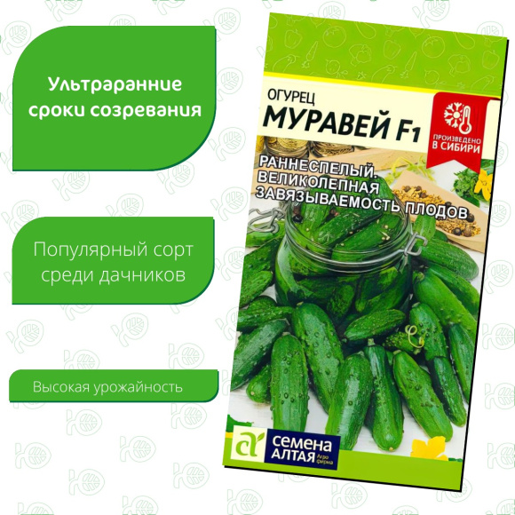 Огурец Муравей [Семена алтая] купить с доставкой