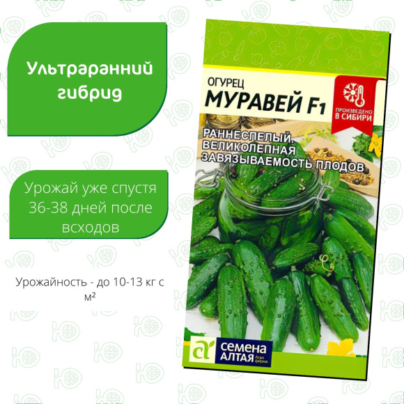 Огурец Муравей [Семена алтая] купить с доставкой