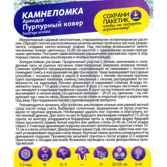 Камнеломка Пурпурный ковер Арендса [Семена алтая] купить с доставкой