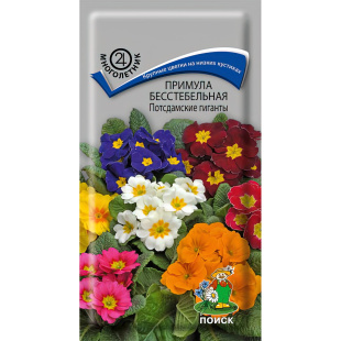 Примула бесстебельная Потсдамские гиганты [Поиск]