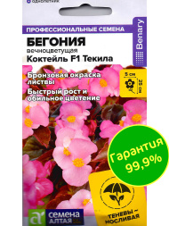 Бегония Коктейль Текила вечноцветущая [Семена алтая]