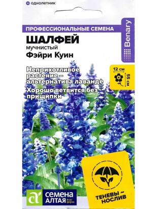 Шалфей Фэйри Куин мучнистый [Семена алтая]