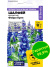 Шалфей Фэйри Куин мучнистый [Семена алтая] купить с доставкой