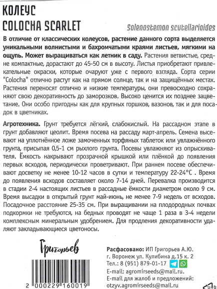 Колеус Colocha scarlet [Семена редких растений] купить с доставкой