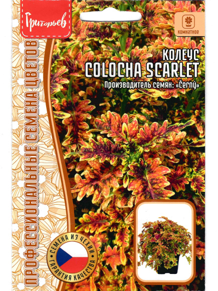 Колеус Colocha scarlet [Семена редких растений] купить с доставкой