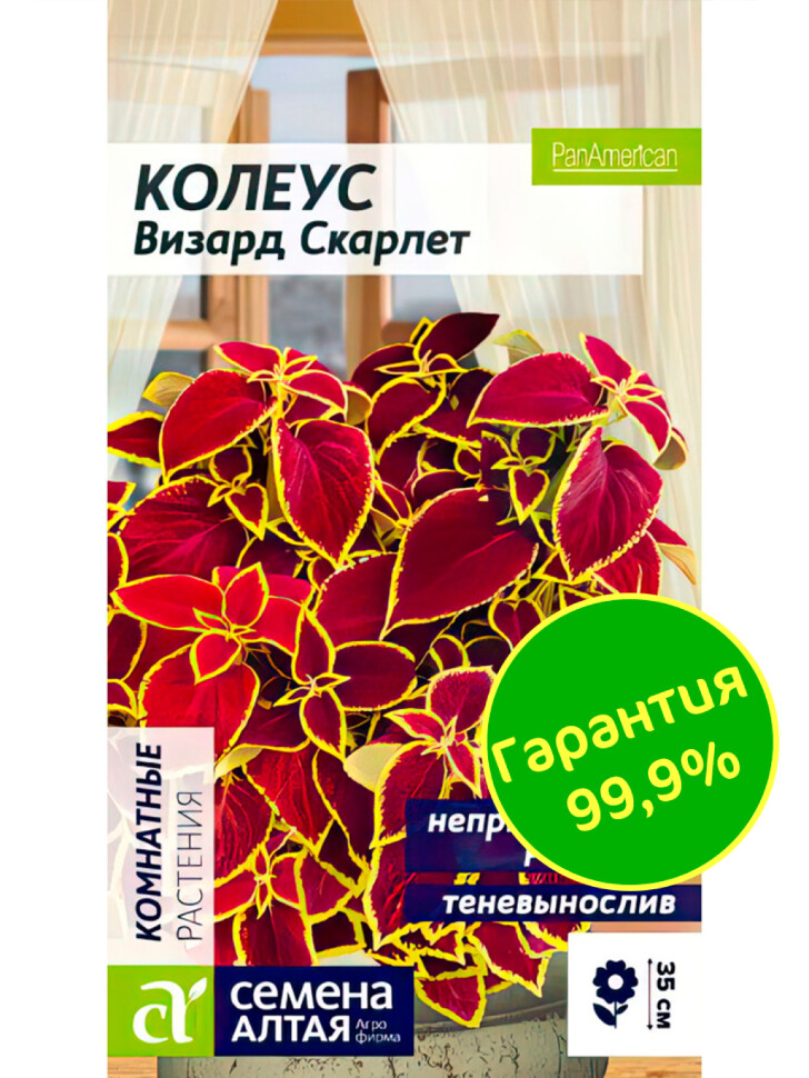 Колеус Визард Скарлет [Семена алтая] купить с доставкой