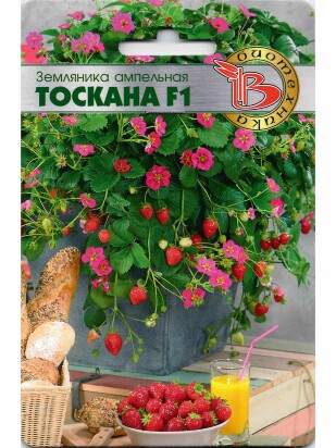 Земляника Тоскана [Биотехника]