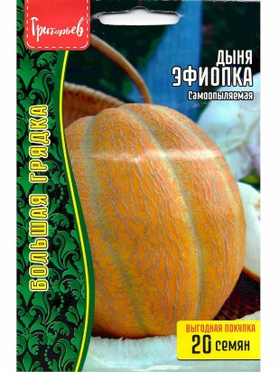 Дыня Эфиопка самоопыляемая [Семена редких растений]