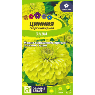 Цинния Энви георгинов. [Семена алтая]